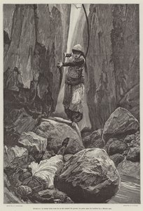 Gülbeyaz, Athol Mayhew